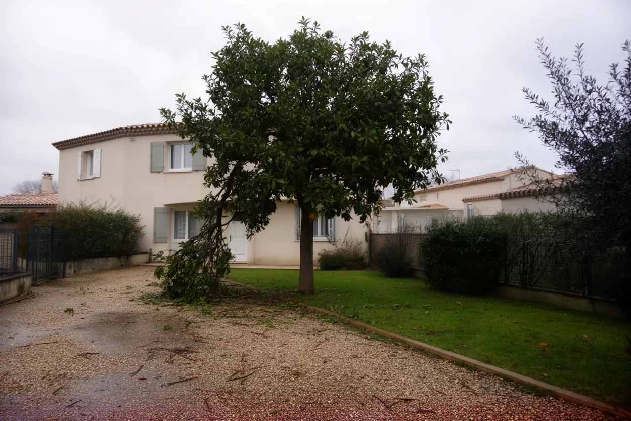 Branche rompue au-dessus d’un passage à Entraigues-sur-la-Sorgue