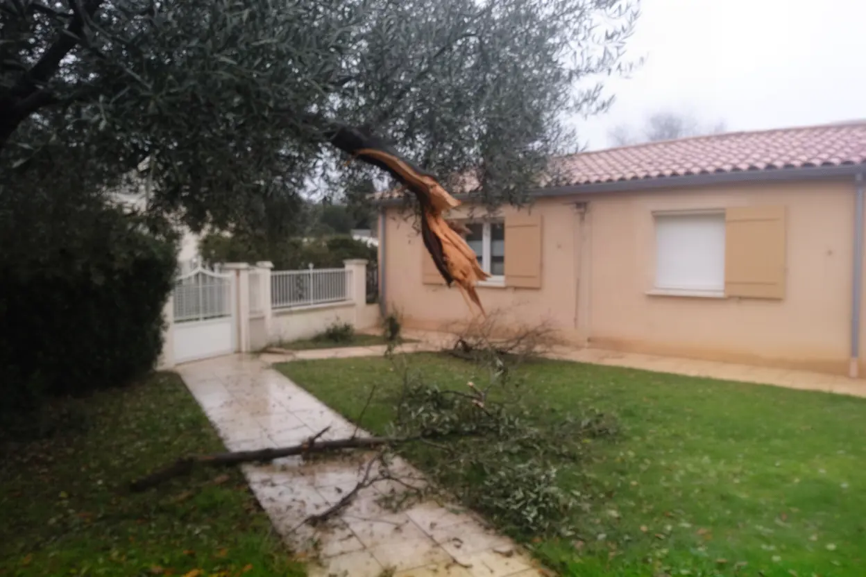 Branches rompues près de l’accès d’une maison à Rognonas