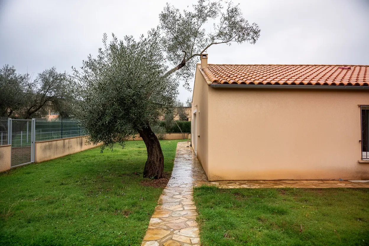 Arbre sécurisé après retrait contrôlé à Tarascon