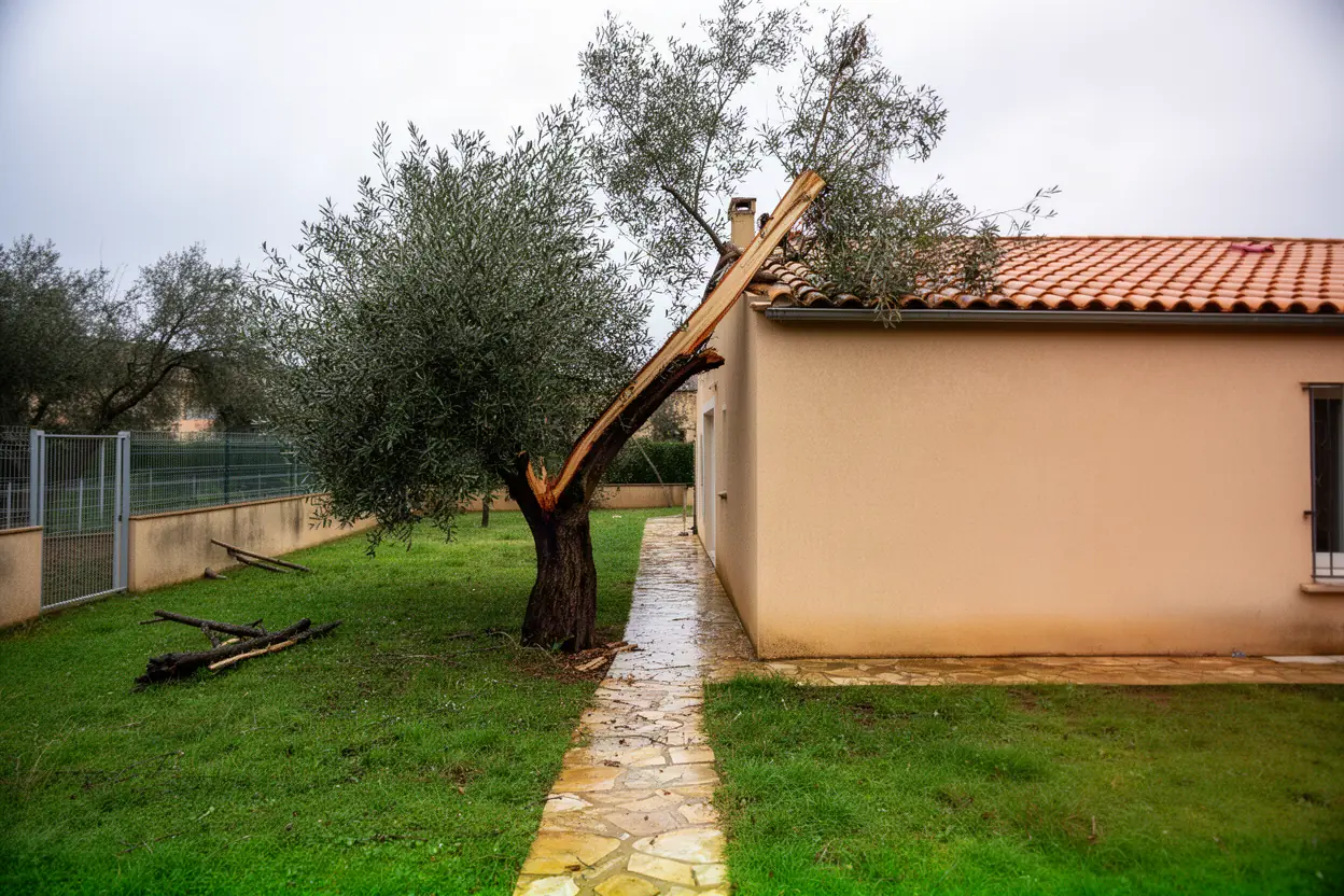 Branche rompue menaçant un passage à Tarascon