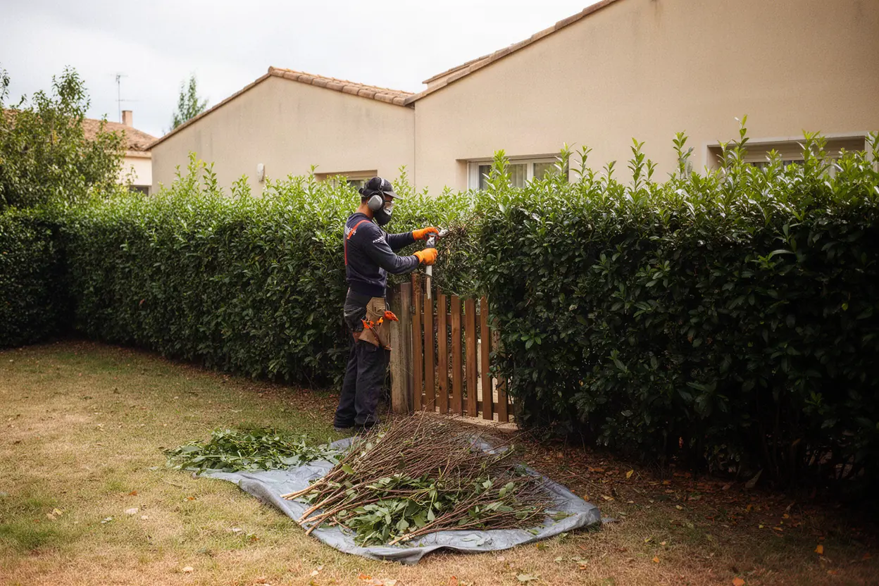 Taille de haie dans un jardin de Barbentane