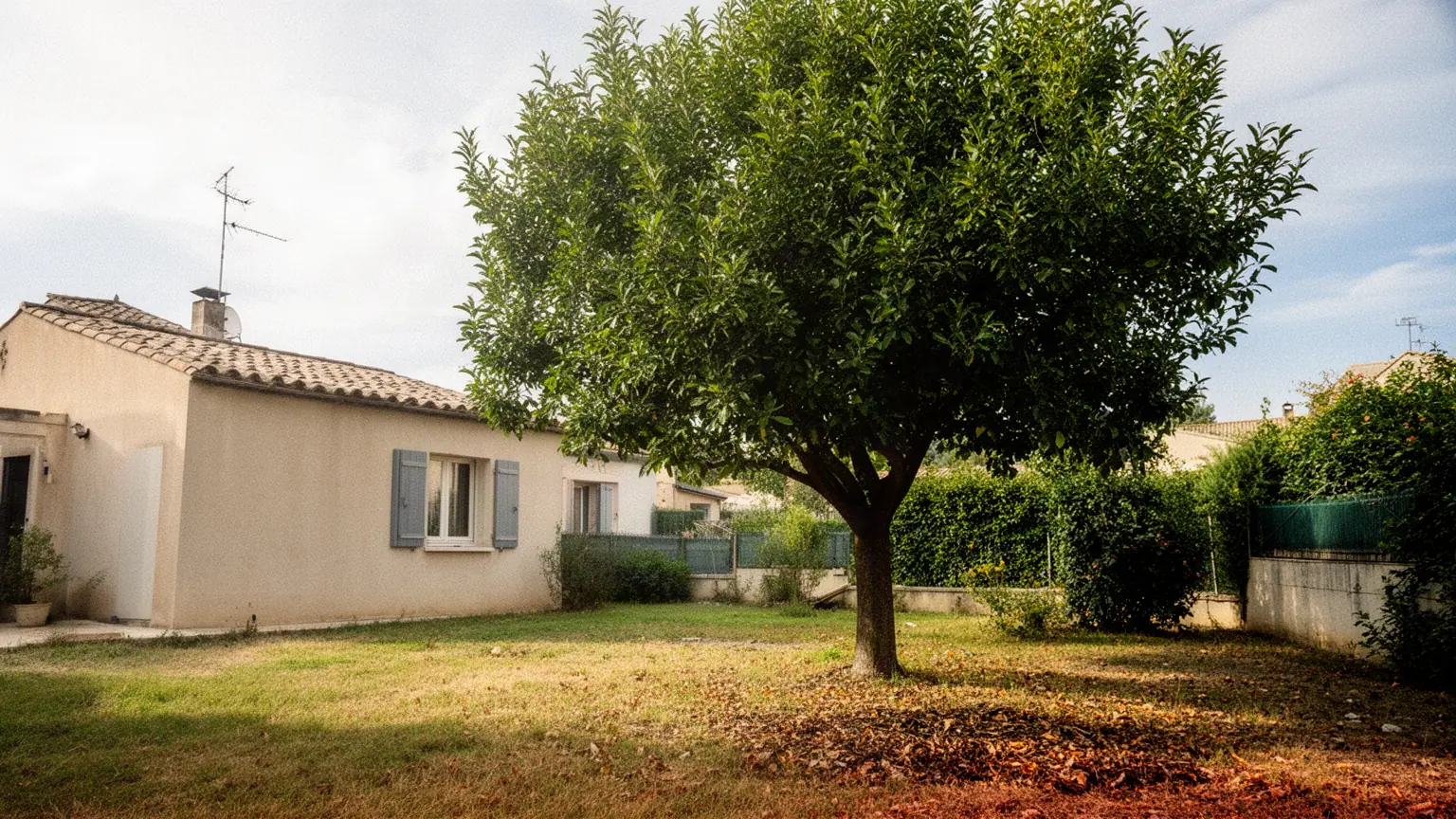 Élagueur professionnel à Saint-Saturnin-lès-Avignon et alentours